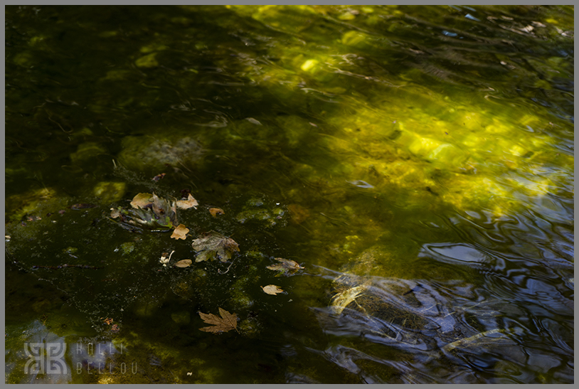 � Kalli Bellou / www.kallibellou.com